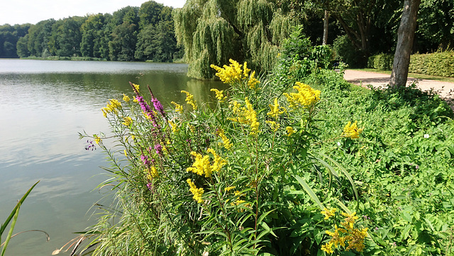 Außenmühlenteich