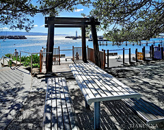 Wollongong harbour
