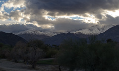 Palm Springs El Nino Jan1x (#0324)