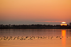 Ria de Aveiro, Portugal