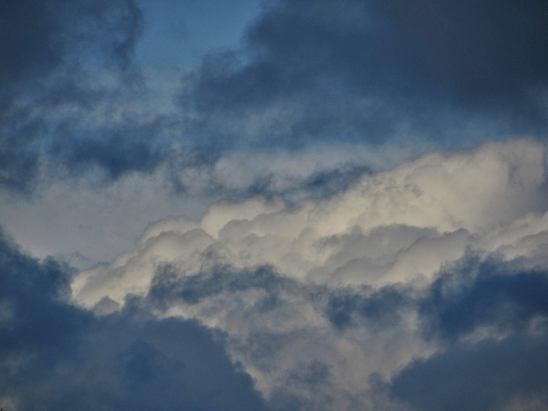 Cloud Portrait.