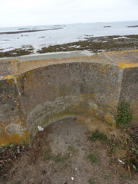 wg (1145)