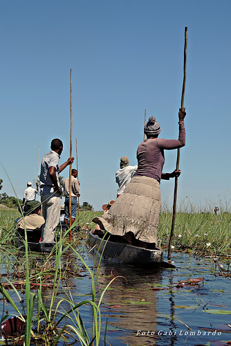 Mokoro Tour (Botswana)