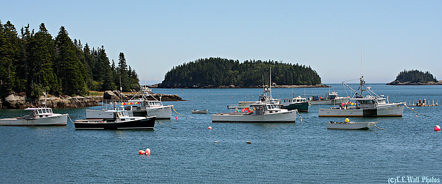 A Few Lobster Boats in Cutler Harbor