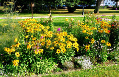 DE - Bad Breisig - Blumen im Kurpark
