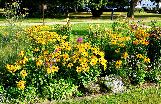 DE - Bad Breisig - Blumen im Kurpark