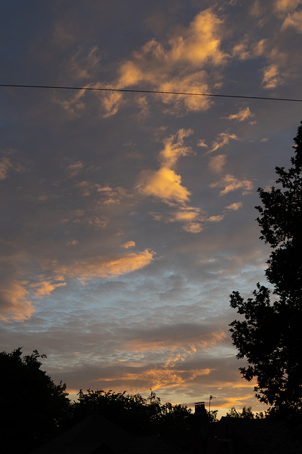 Evening sky-1