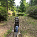 Water feature at Dunphail