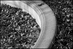 Feuilles dedans/dehors Feuilles dedans/dehors