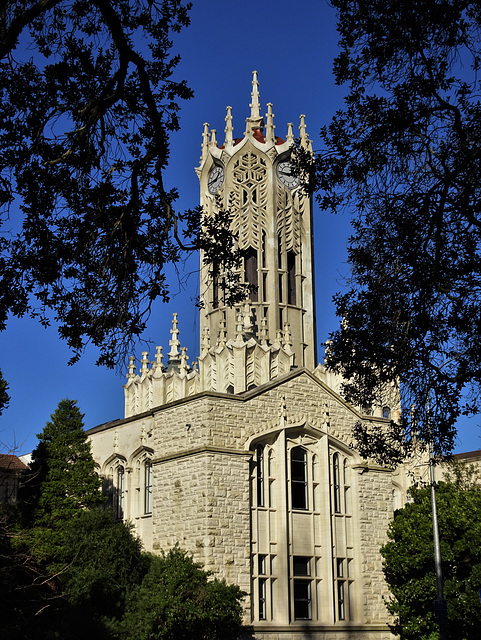 The unavoidable University Clock Tower 3