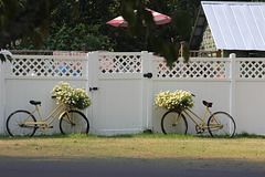 "cycling" into our Fence Friday :)  ~~   HFF everyone ~~