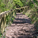 Steps down the cliff to Thurstaston beach