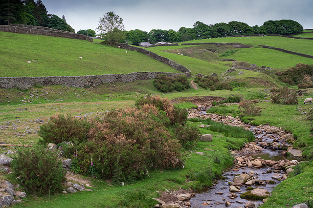 Bray Clough Farm