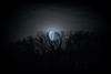 Mond -  20190224