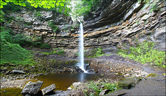 Hardraw Force