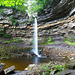 Hardraw Force