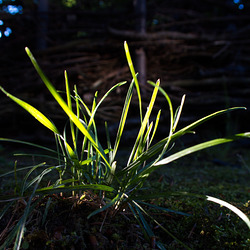 HD-IP-IMG 2101-zus-kontr HD-IP-IMG 2101-zus-kontr