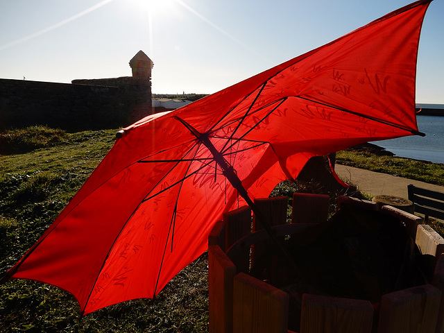 Soleil contre Parapluie