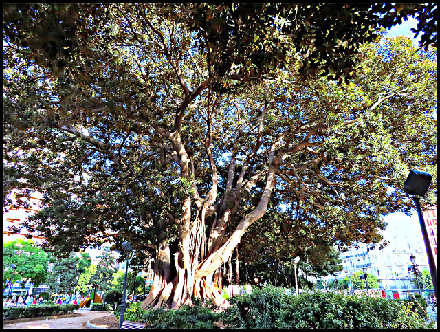 Valencia: jardines de la Glorieta, 7