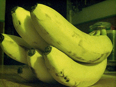 A Loverly Bunch Of Bananas
