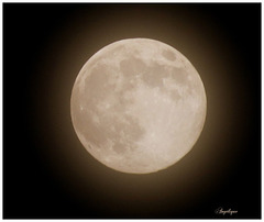 Lune froide du 4 Décembre 2025 / Bonne journée mes ami(e)s❤️