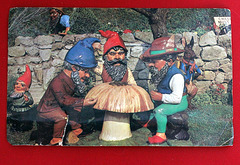 12/365 2026 The Gnomes Garden