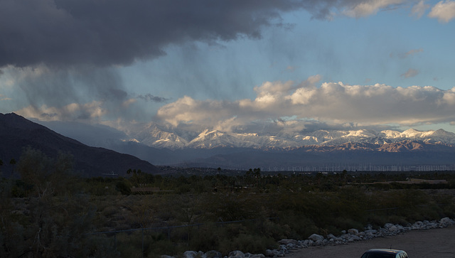 Palm Springs El Nino Jan1x (#0333)