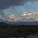Palm Springs El Nino Jan1x (#0333)