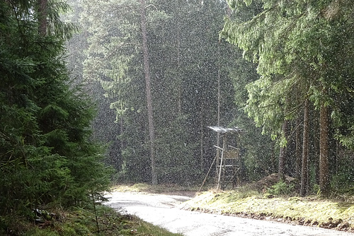 Sommerwinter