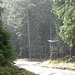 Sommerwinter