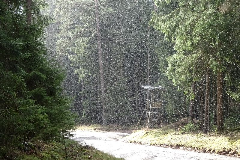 Sommerwinter