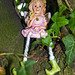 Wee Fairy up a Tree