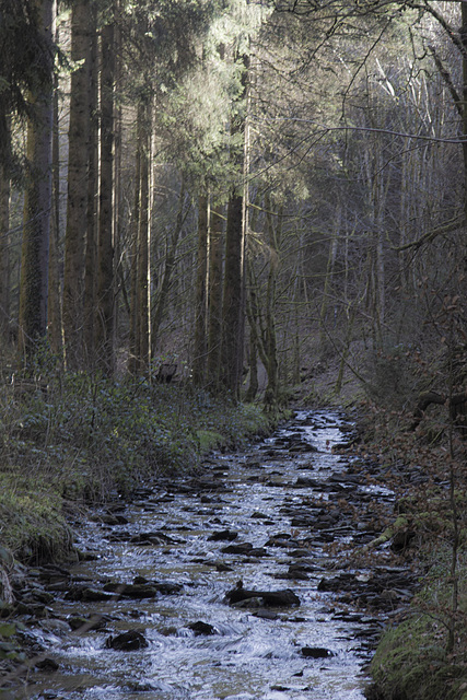 Waassersenneswee (Eschdorf)