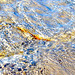 Entre deux eaux !