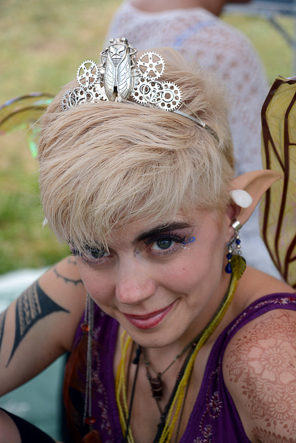 Friday: 17-year cicadas were a festival theme