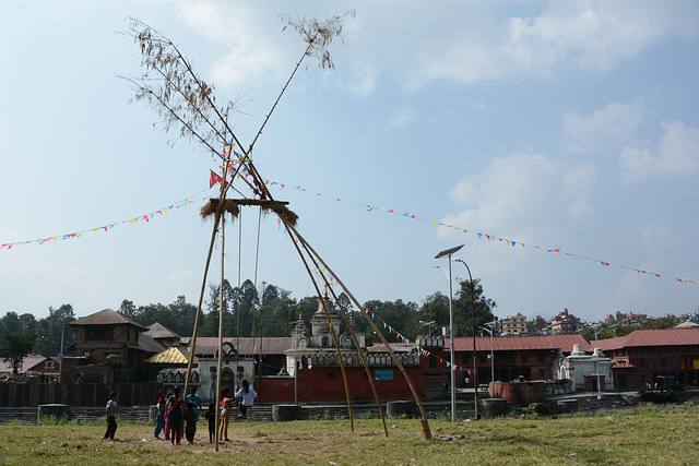 Kathmandu, Swings near Pashupatinath Temple