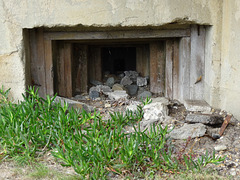 wg (1150)