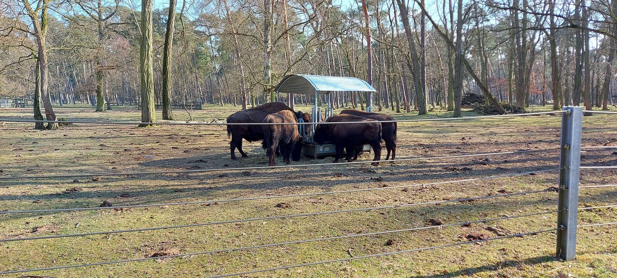Karlstern animal park