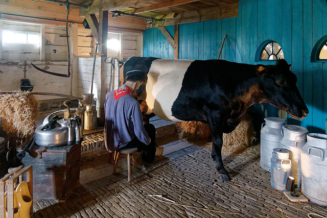 Reconstitution d'une ferme