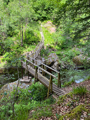 This replacement for a bridge swept away slants alarmingly half way across!