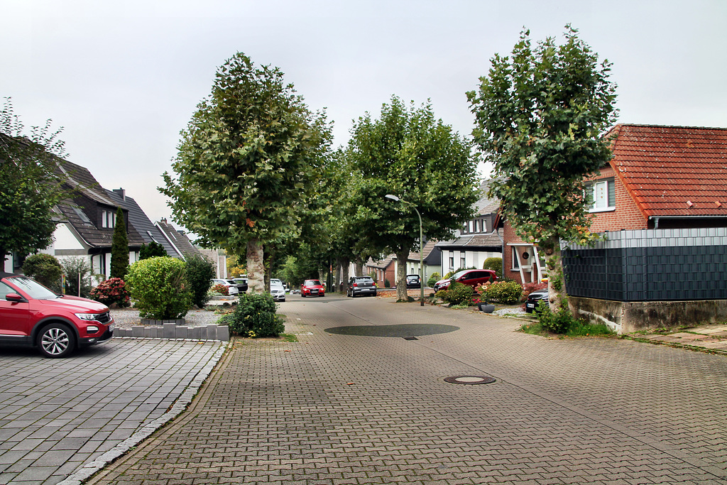 Mühlenstraße (Bönen) / 9.10.2023