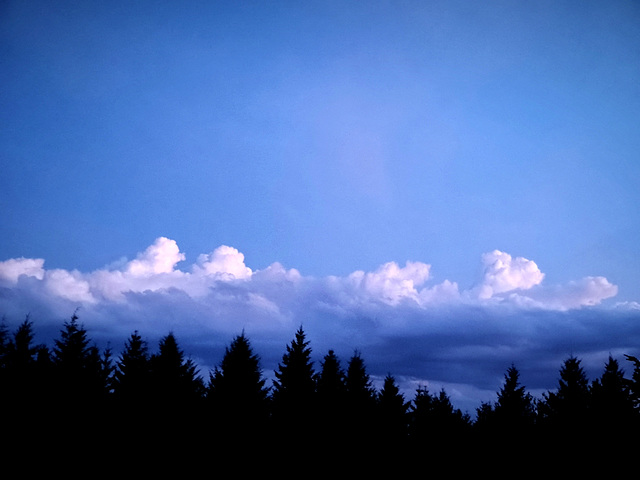 Cavalerie d'un soir / Cavalry for an evening