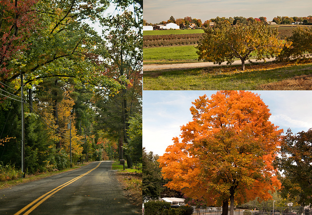 Collage of a country road in New England