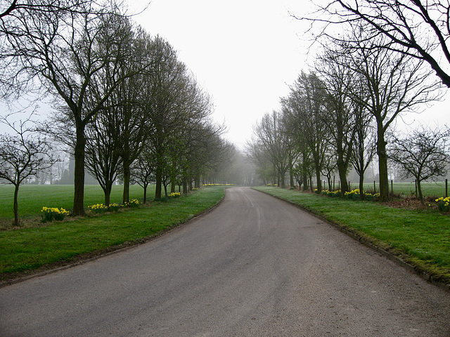 Looking towards The Bradshaws from near Simmon’s Wood