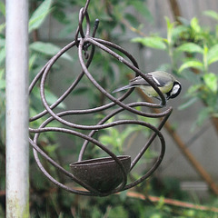 EOS 60D Unknown 09 54 4805052 GreatTit dpp