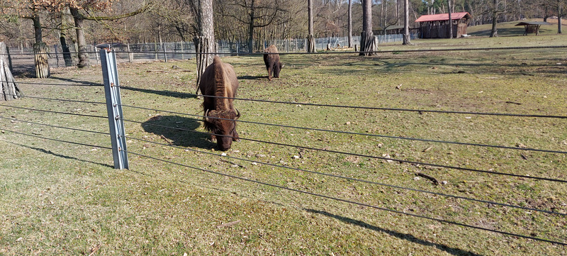 Karlstern animal park