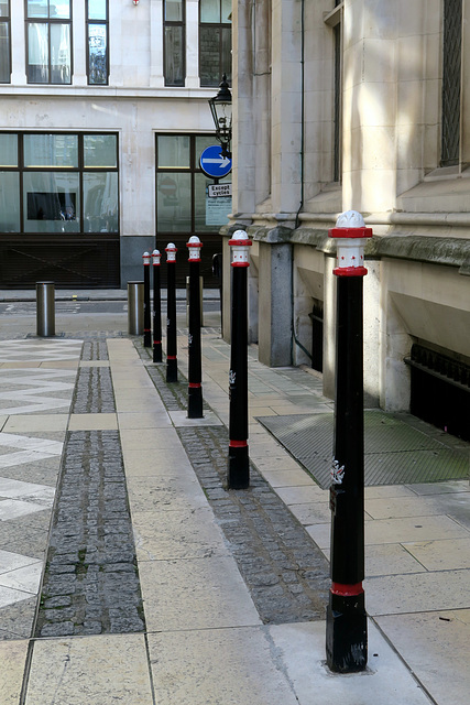 IMG 2817-001-Skinny Bollards