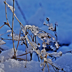 HIVER HIVER