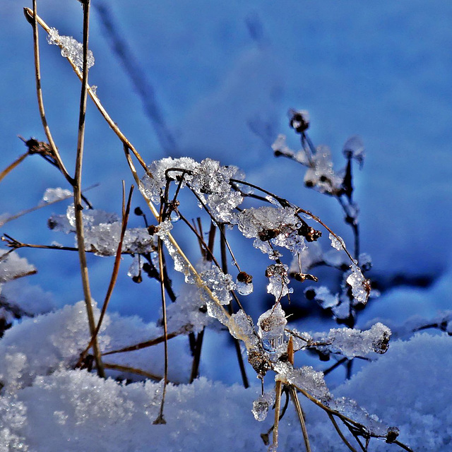 HIVER