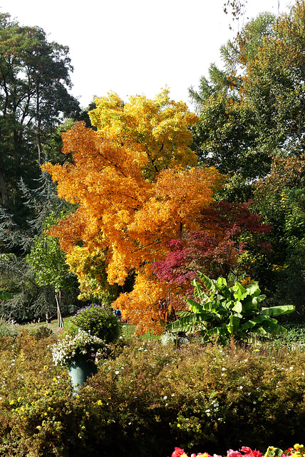 Bunter Herbst